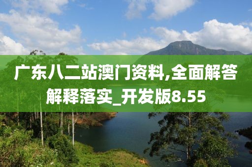 廣東八二站澳門資料,全面解答解釋落實_開發(fā)版8.55