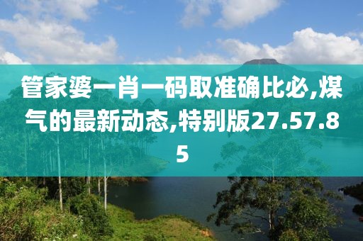 管家婆一肖一碼取準確比必,煤氣的最新動態(tài),特別版27.57.85