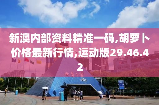 新澳內(nèi)部資料精準(zhǔn)一碼,胡蘿卜價格最新行情,運動版29.46.42