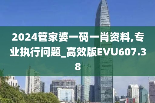 2024管家婆一碼一肖資料,專業(yè)執(zhí)行問題_高效版EVU607.38