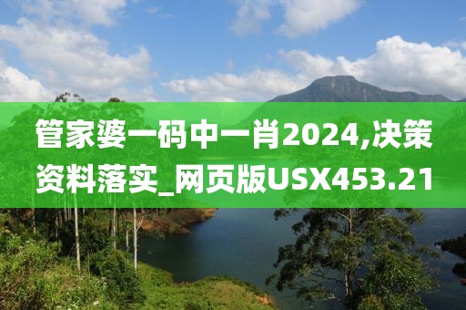 管家婆一碼中一肖2024,決策資料落實(shí)_網(wǎng)頁(yè)版USX453.21