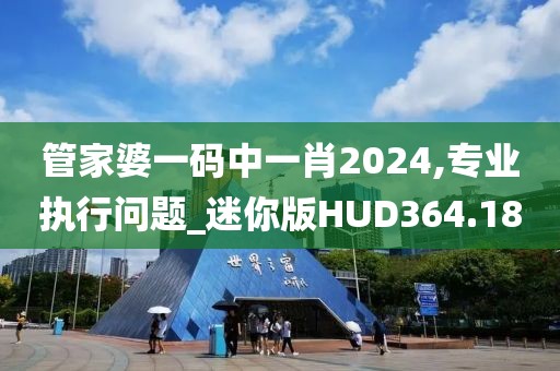 管家婆一碼中一肖2024,專業(yè)執(zhí)行問題_迷你版HUD364.18