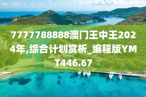 7777788888澳門(mén)王中王2024年,綜合計(jì)劃賞析_編程版YMT446.67