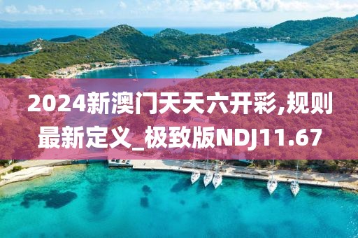 2024新澳門天天六開彩,規(guī)則最新定義_極致版NDJ11.67