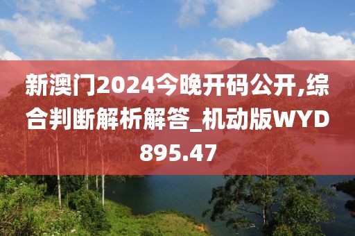 新澳門2024今晚開碼公開,綜合判斷解析解答_機動版WYD895.47