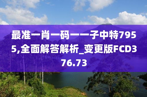 最準一肖一碼一一子中特7955,全面解答解析_變更版FCD376.73