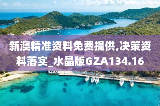 新澳精準(zhǔn)資料免費提供,決策資料落實_水晶版GZA134.16