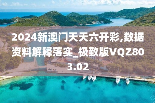 2024新澳門天天六開彩,數(shù)據(jù)資料解釋落實(shí)_極致版VQZ803.02