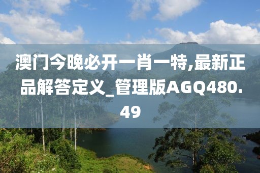 澳門今晚必開(kāi)一肖一特,最新正品解答定義_管理版AGQ480.49