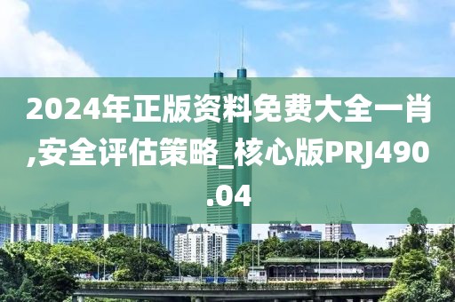 2024年正版資料免費大全一肖,安全評估策略_核心版PRJ490.04