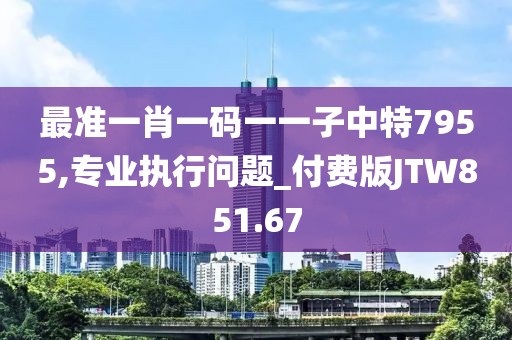 最準(zhǔn)一肖一碼一一子中特7955,專業(yè)執(zhí)行問題_付費(fèi)版JTW851.67