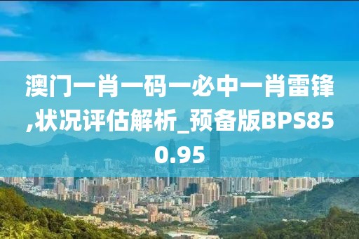 澳門一肖一碼一必中一肖雷鋒,狀況評估解析_預備版BPS850.95