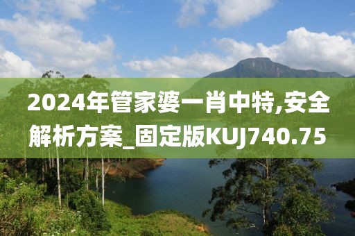 2024年管家婆一肖中特,安全解析方案_固定版KUJ740.75