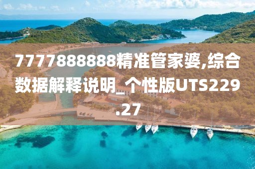 7777888888精準(zhǔn)管家婆,綜合數(shù)據(jù)解釋說明_個(gè)性版UTS229.27