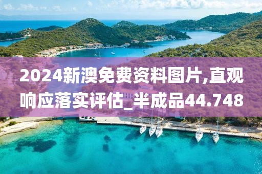 2024新澳免費(fèi)資料圖片,直觀響應(yīng)落實評估_半成品44.748