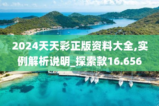 2024天天彩正版資料大全,實例解析說明_探索款16.656