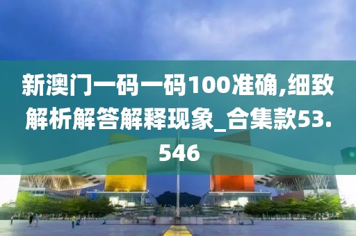 新澳門一碼一碼100準確,細致解析解答解釋現象_合集款53.546