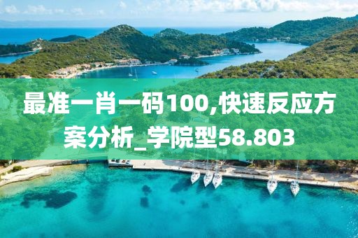 最準一肖一碼100,快速反應方案分析_學院型58.803