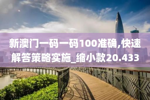 新澳門一碼一碼100準(zhǔn)確,快速解答策略實施_縮小款20.433