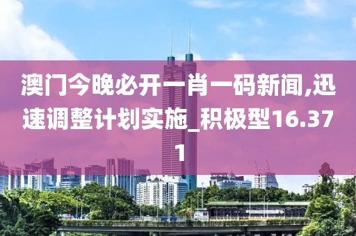 澳門今晚必開一肖一碼新聞,迅速調(diào)整計(jì)劃實(shí)施_積極型16.371