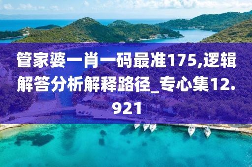 管家婆一肖一碼最準(zhǔn)175,邏輯解答分析解釋路徑_專心集12.921