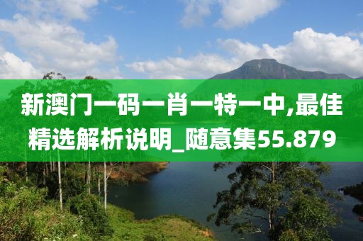 新澳門(mén)一碼一肖一特一中,最佳精選解析說(shuō)明_隨意集55.879