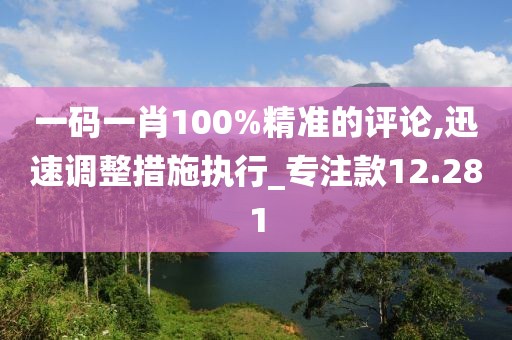 一碼一肖100%精準(zhǔn)的評(píng)論,迅速調(diào)整措施執(zhí)行_專注款12.281