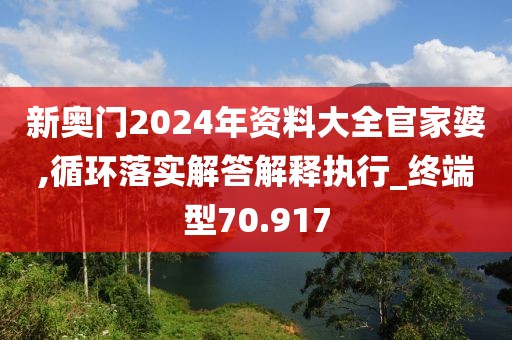 新奧門2024年資料大全官家婆,循環(huán)落實解答解釋執(zhí)行_終端型70.917