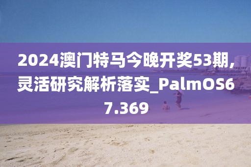 2024澳門特馬今晚開(kāi)獎(jiǎng)53期,靈活研究解析落實(shí)_PalmOS67.369