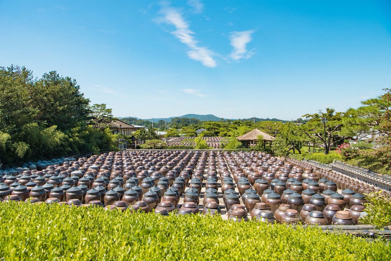 南方產(chǎn)業(yè)繁榮崛起，最新產(chǎn)業(yè)的蓬勃發(fā)展之路