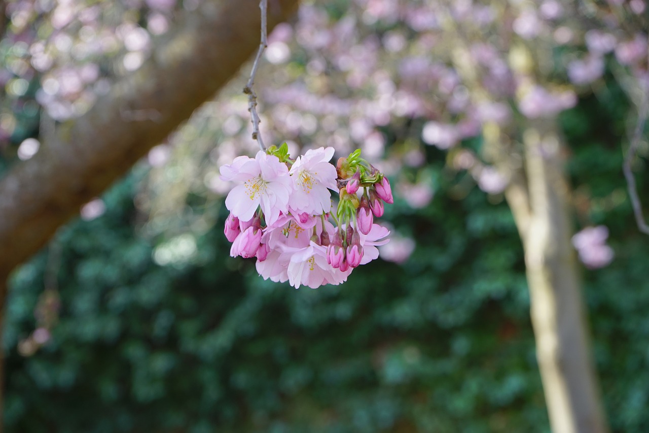 張康陽(yáng)最新動(dòng)態(tài)，展現(xiàn)年輕領(lǐng)袖的多彩魅力